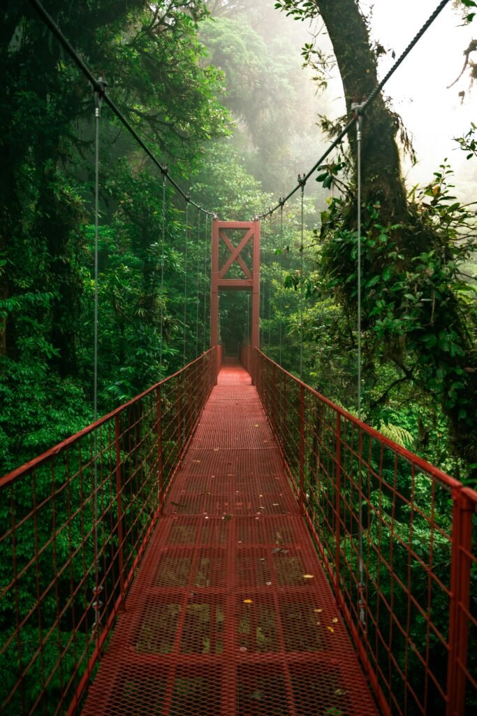pexels-photo-16806198-16806198 Red suspension bridge surrounded by lush green forest in Monteverde, Costa Rica.