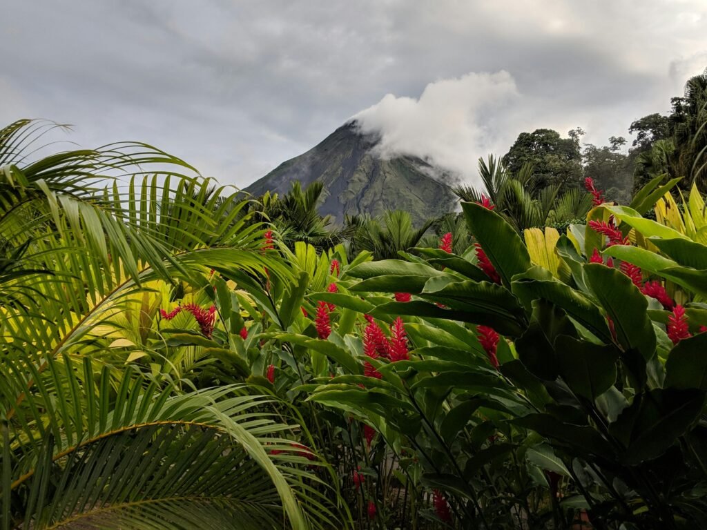 pexels-photo-4807058-4807058 Scenic view of Arenal Volcano surrounded by vibrant rainforest and tropical flora in Costa Rica.