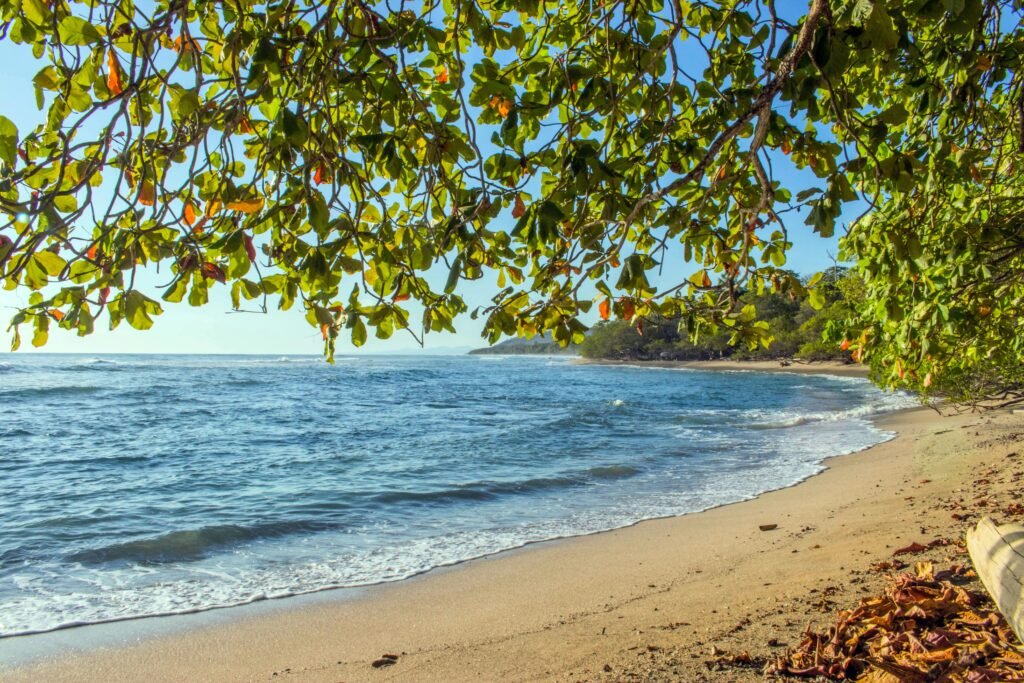 pexels-photo-919494-919494 Tranquil beach scene in Puntarenas, Costa Rica with lush greenery and calm waves.
