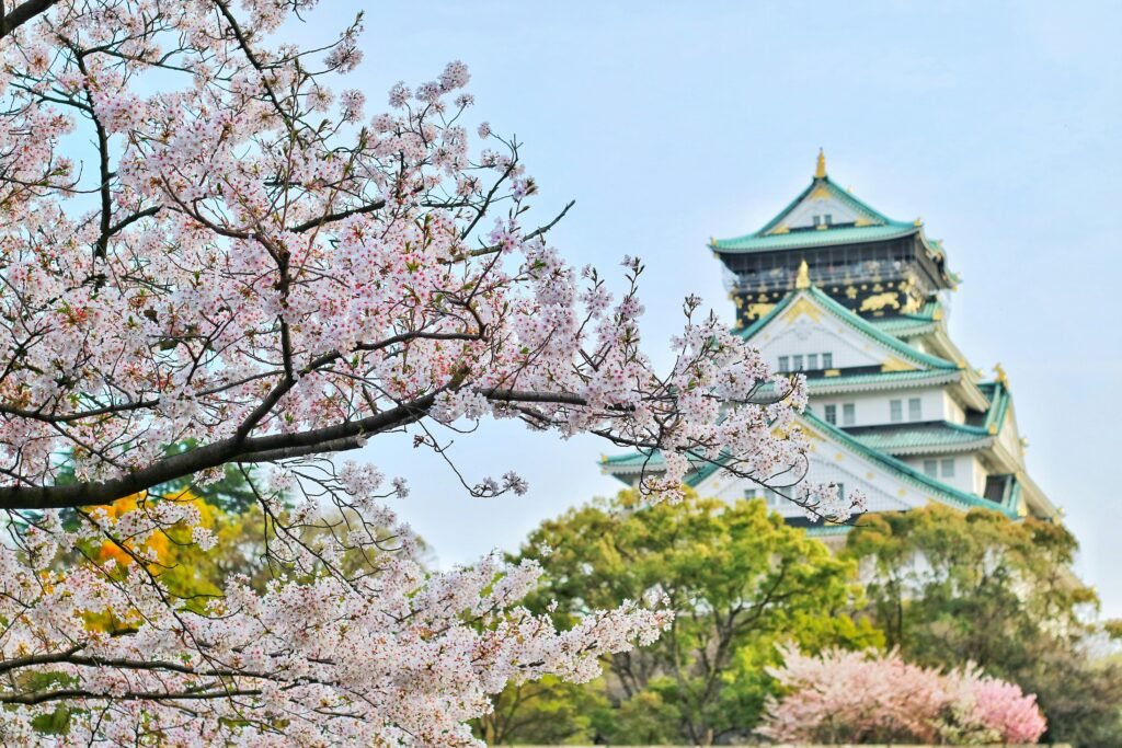 pexels-photo-1440476-1440476 Osaka Castle surrounded by cherry blossoms during spring, showcasing a blend of nature and architecture.