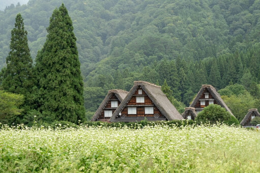 pexels-photo-29241279-29241279 Traditional Gassho-zukuri farmhouses in Shirakawa-go surrounded by lush greenery.