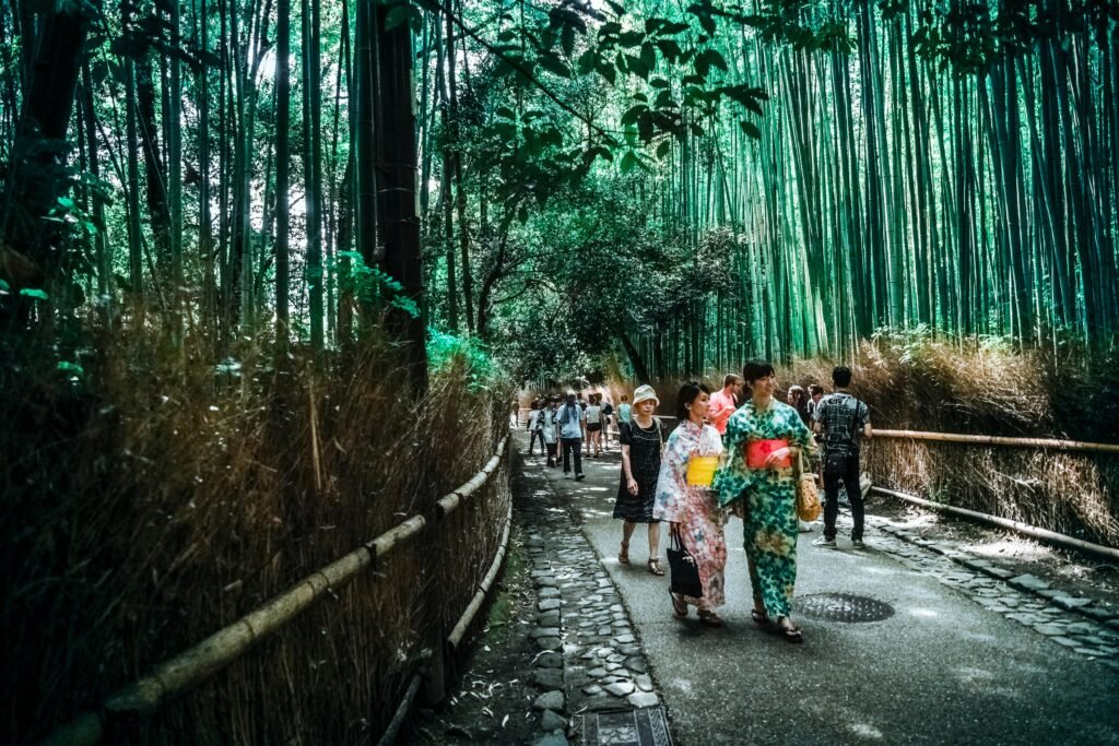 Tourists in traditional attire walk through Japan's iconic Arashiyama bamboo grove, capturing the tranquil essence of Kyoto's natural beauty.