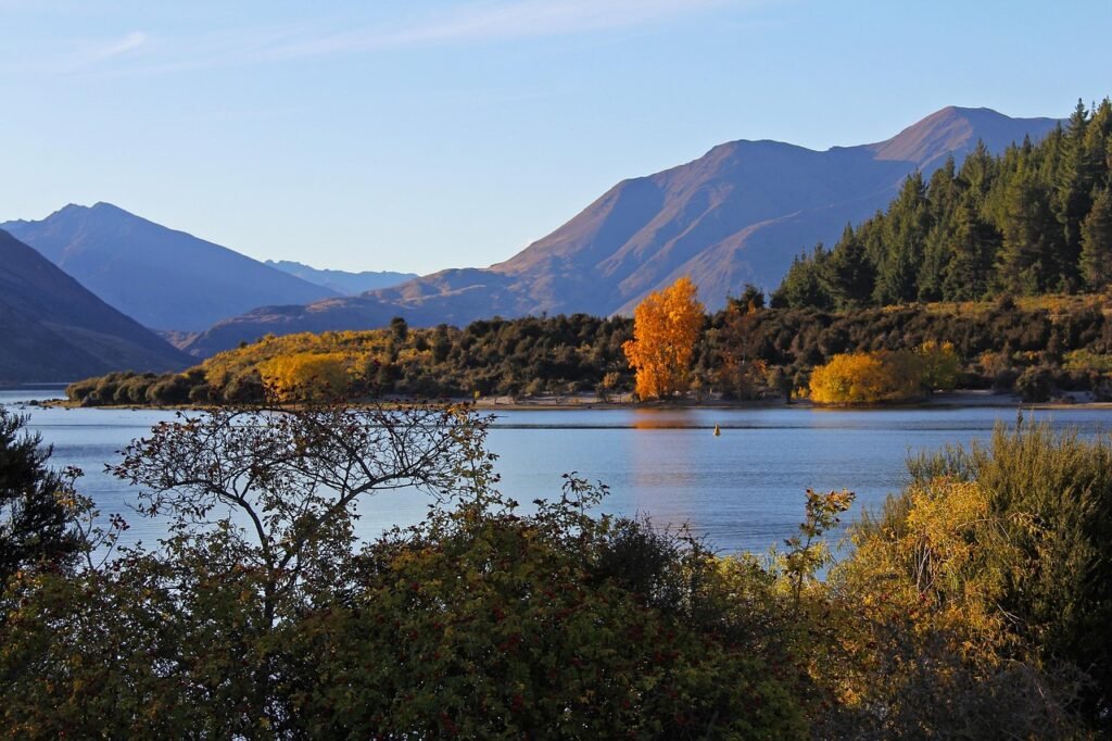 Scenic Lake Wānaka in New Zealand with its famous lone tree, blue water, and mountains surrounded by nature.