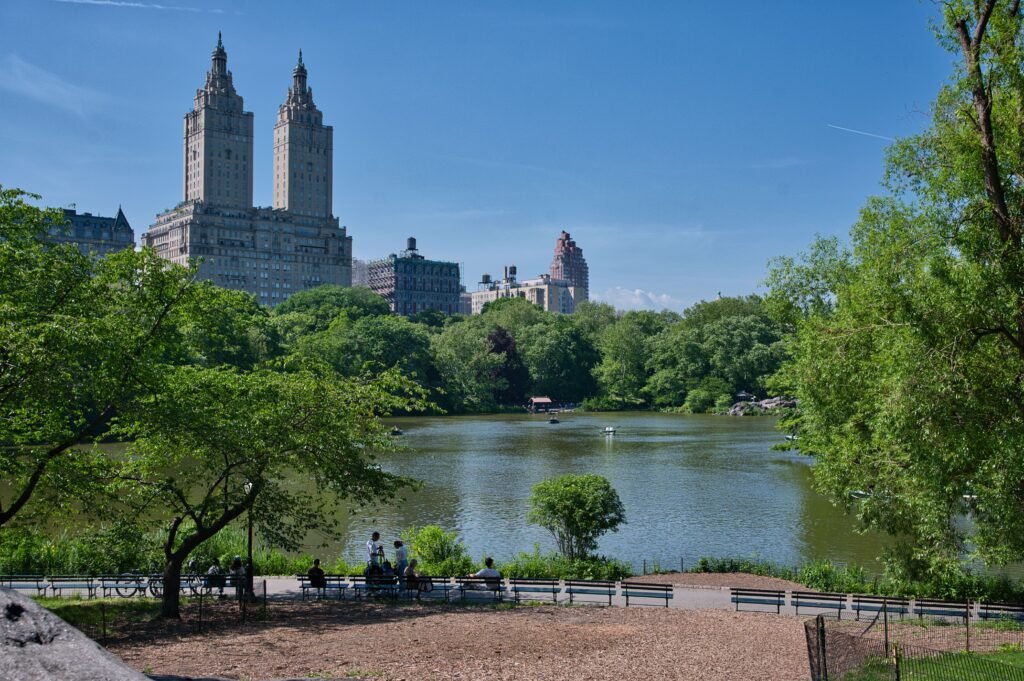 A scenic view of Central Park with iconic Manhattan skyline in New York City.