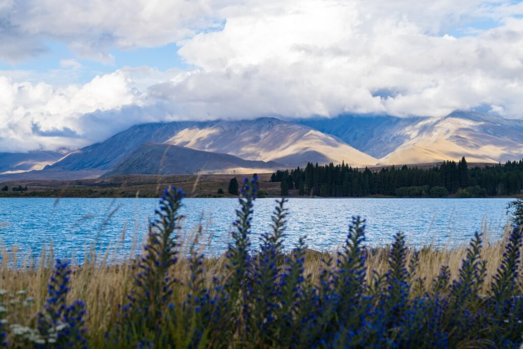 Beautiful view of Lake Tekapo in New Zealand with mountains and lupines.