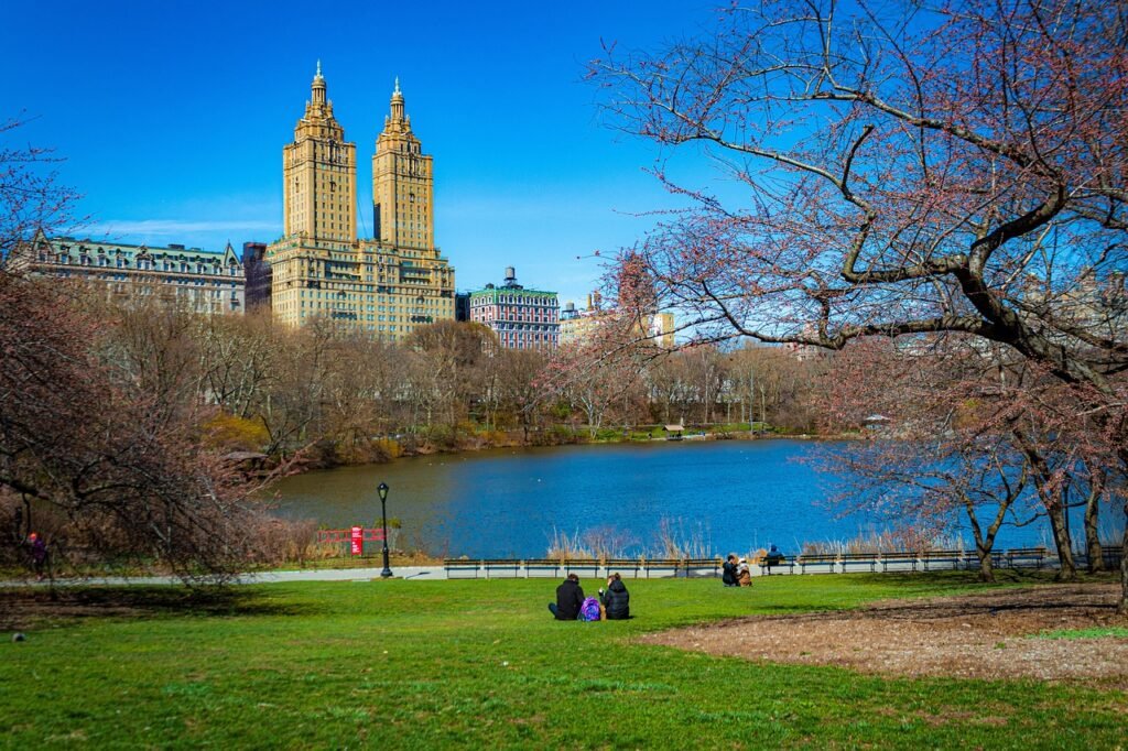 People having picnics in central park   NYC. 